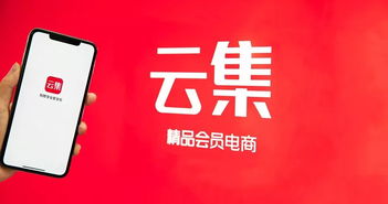 云集q3財(cái)報(bào) 一場(chǎng)圍繞會(huì)員 選品與效率的勝利